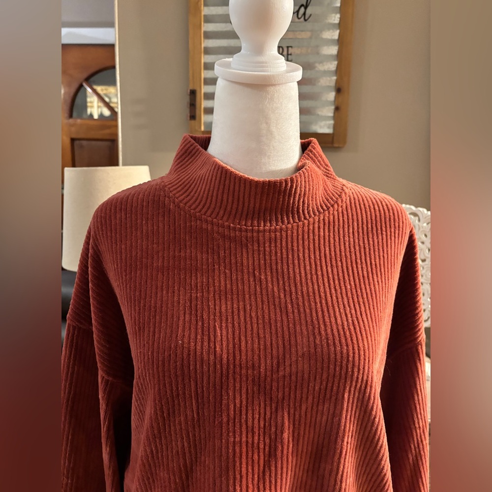 Altar'd State Rust Ribbed Velour Top - Picture 2 of 7